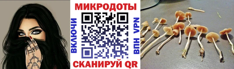 где продают наркотики  Новоалександровск  Псилоцибиновые грибы прущие грибы 