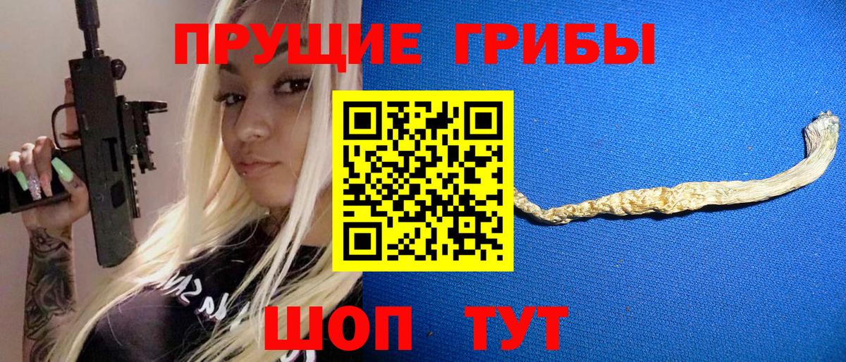 Псилоцибиновые грибы прущие грибы  Вход с VPN  Новоалександровск 